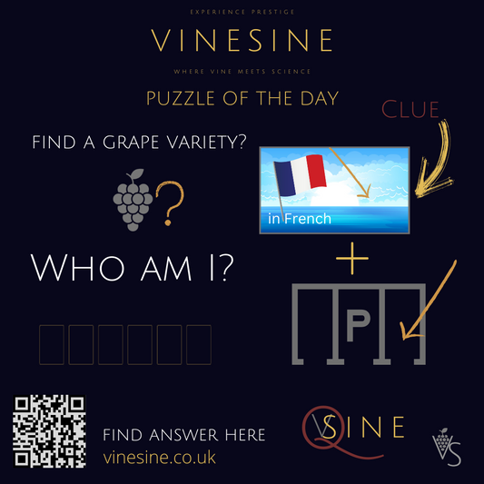 Vinesine Puzzle of the day - DAY 3 - Flag and parking.