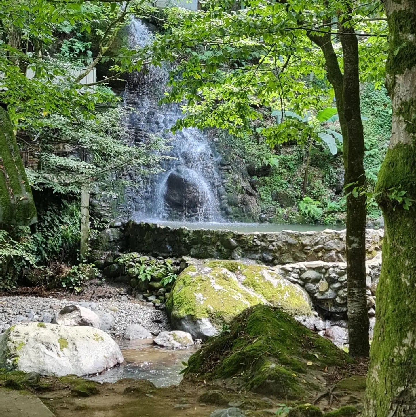 trip to georgia