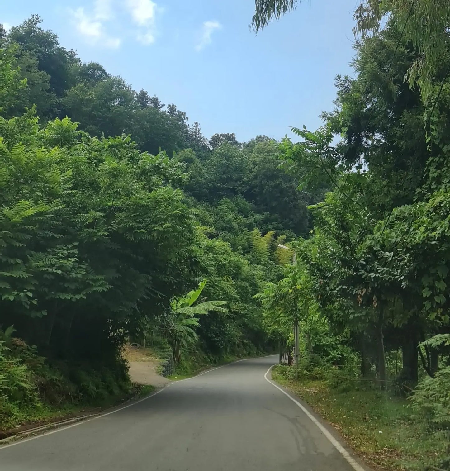 trip to georgia