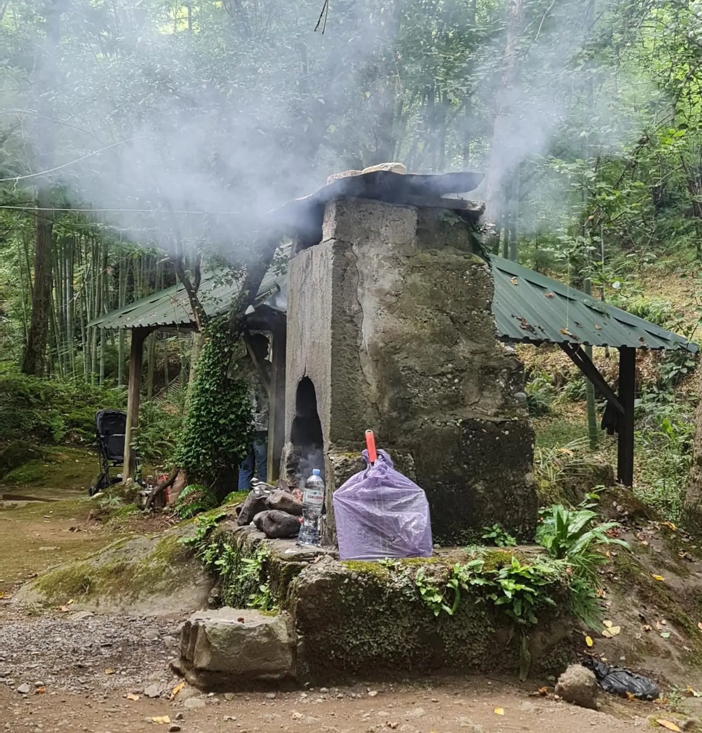 trip to georgia