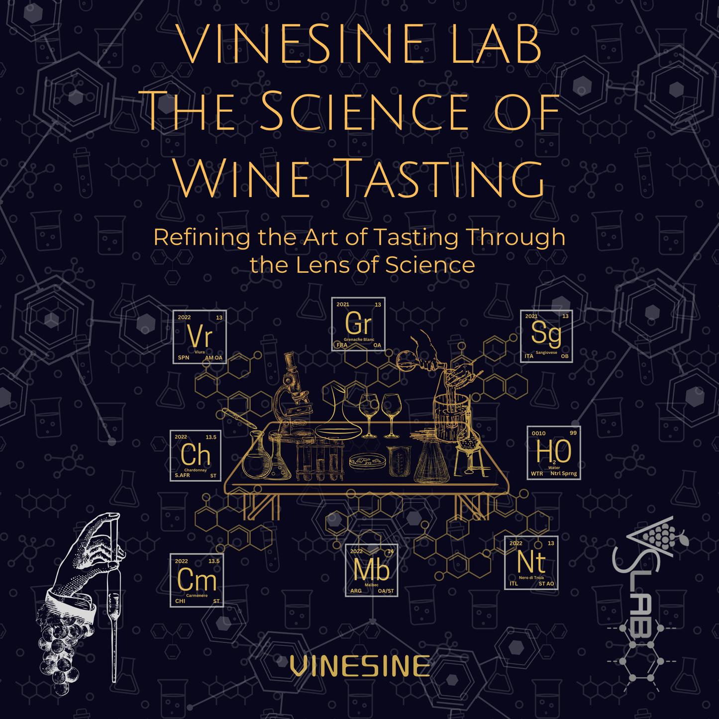 Vinesine LAB Wine Tasting Experience