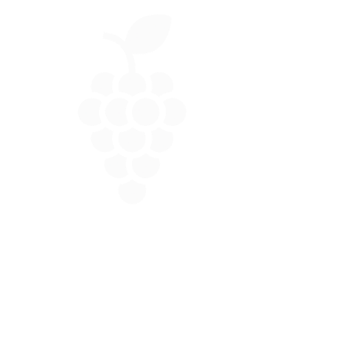 VS - vinesine short white logo 