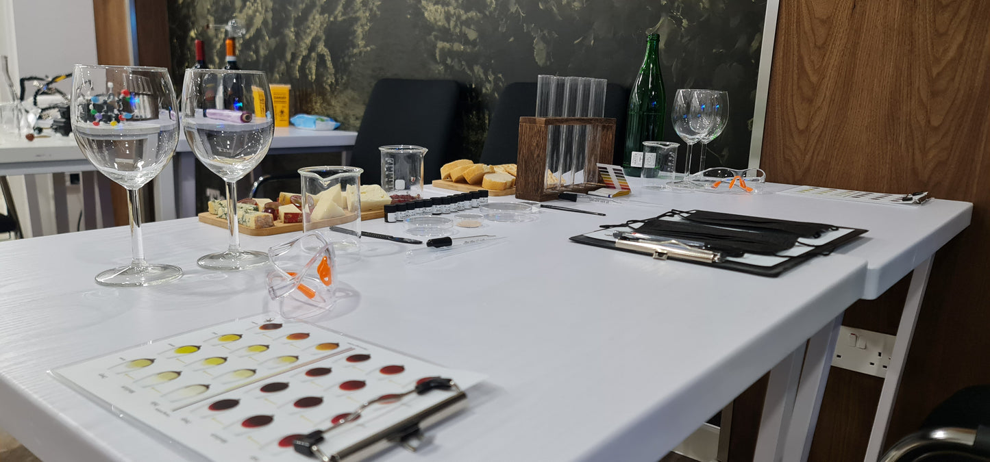 Vinesine LAB Wine Tasting Experience