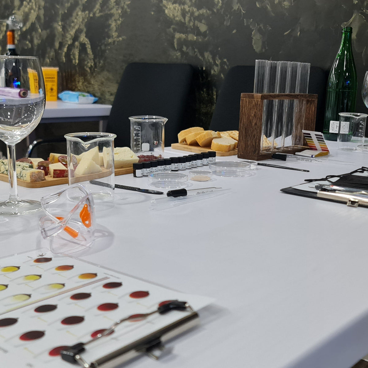 Vinesine Lab wine tasting table set with wine glasses, plates, and a colour spectrum in the wine cellar