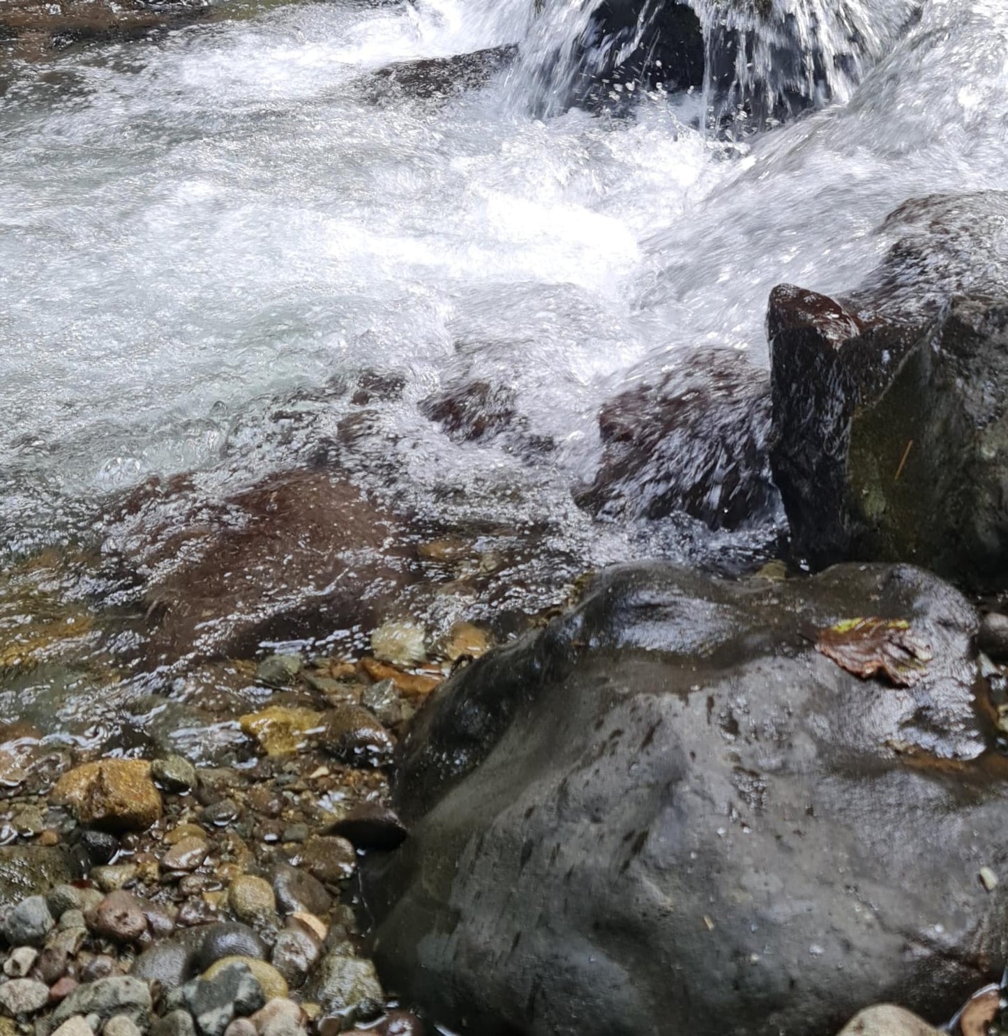 trip to georgia