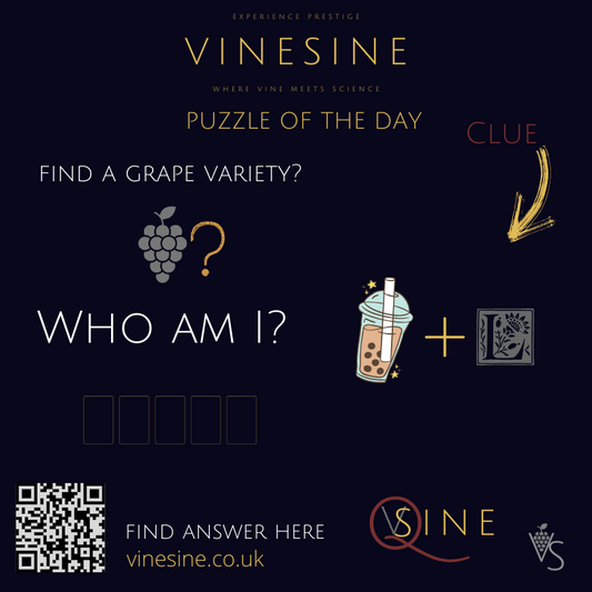Puzzle of the day - DAY 6