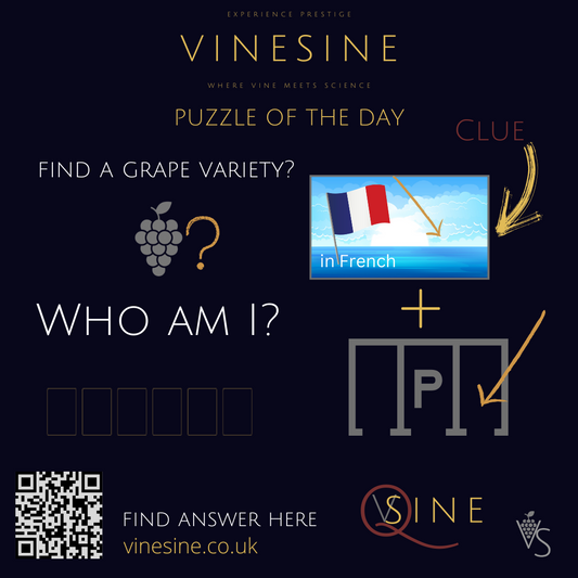 Vinesine Puzzle of the day - DAY 3 - Flag and parking. 