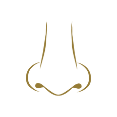 A minimalist gold line-art icon of a nose centered on a plain white background. Vinesine.co.uk