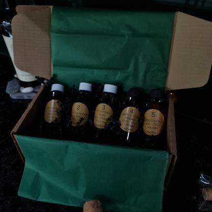 Vinesine At-home wine tasting kit in the classic brown box with 5 miniature bottles of wine with bottle green wrapping