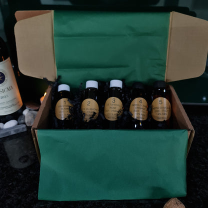 Vinesine At-home wine tasting kit in the classic brown box with 5 miniature bottles of wine with bottle green wrapping