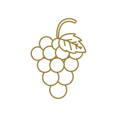 A minimalist gold line art icon of a grape cluster with a leaf and stem, centered on a solid white background. Vinesine.co.uk