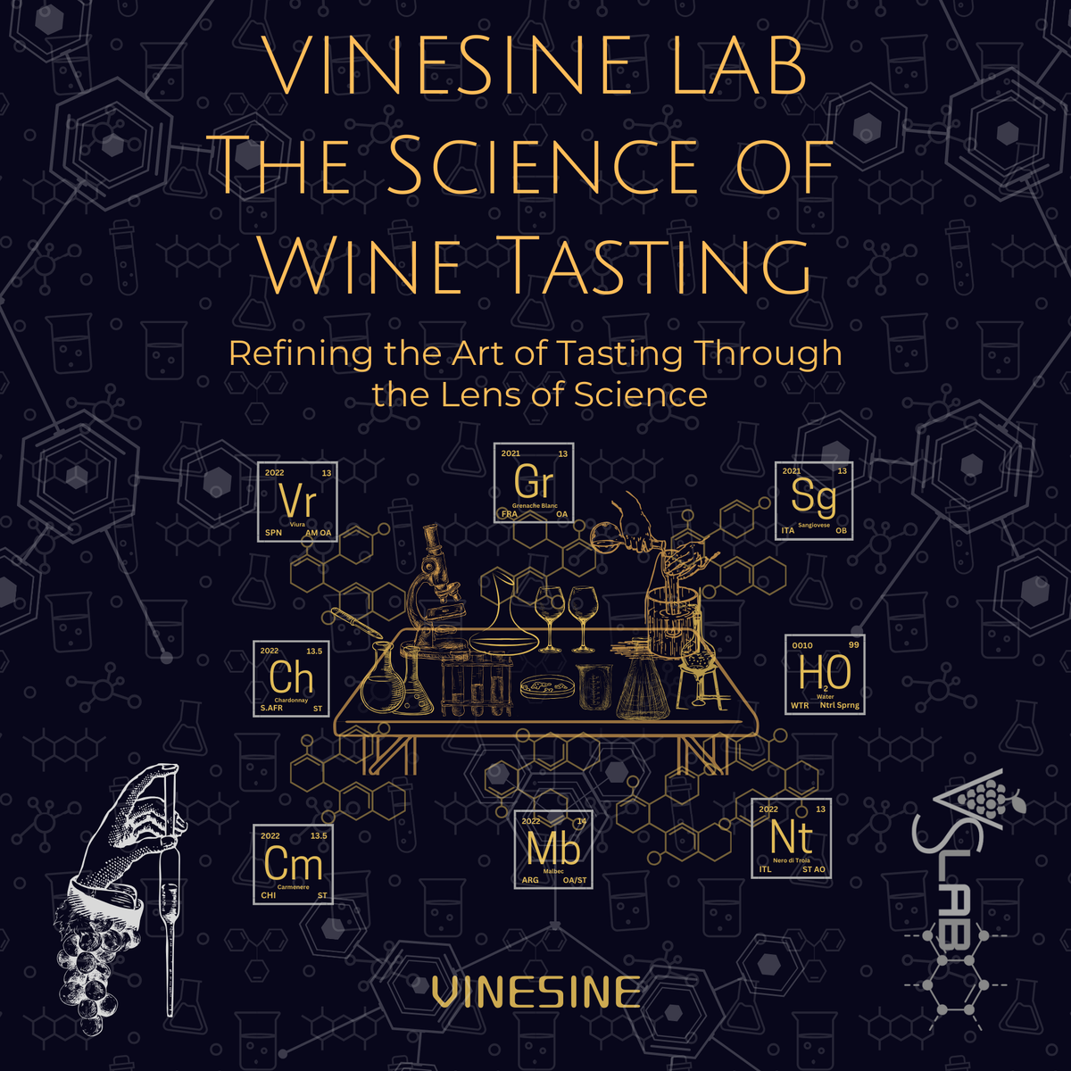 Vinesine VSLAB wine tasting experience with cheese, charcuterie, or veggie board, featuring wine glasses and tasting setup.