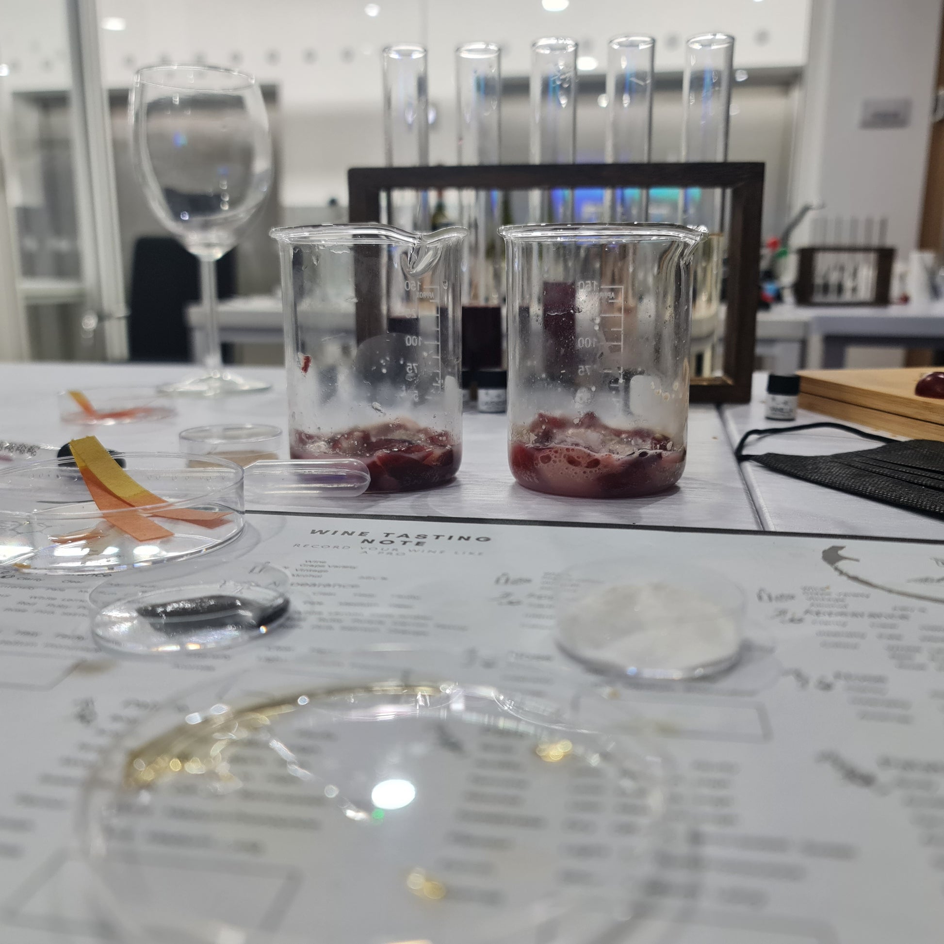 Wine tasting setup with glasses and beakers on a table with a wine tasting sheet.